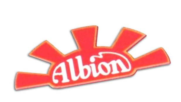 Albion logo